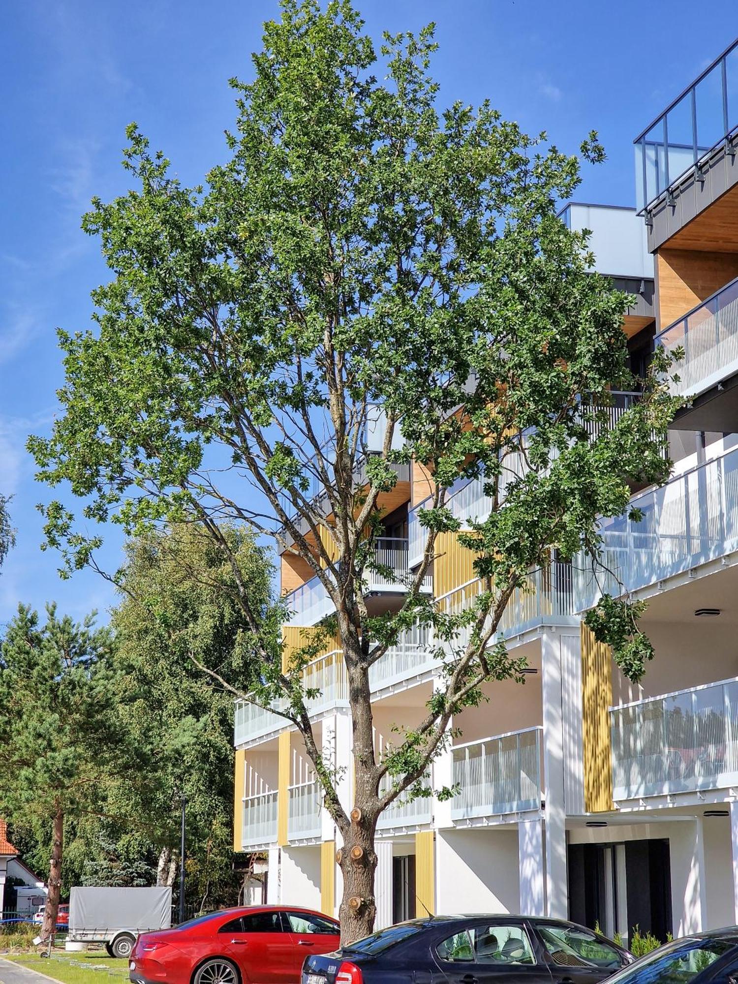 Posesja Apartamenty & Spa - Posesja Plazowa 4A II Grzybowo  Esterno foto